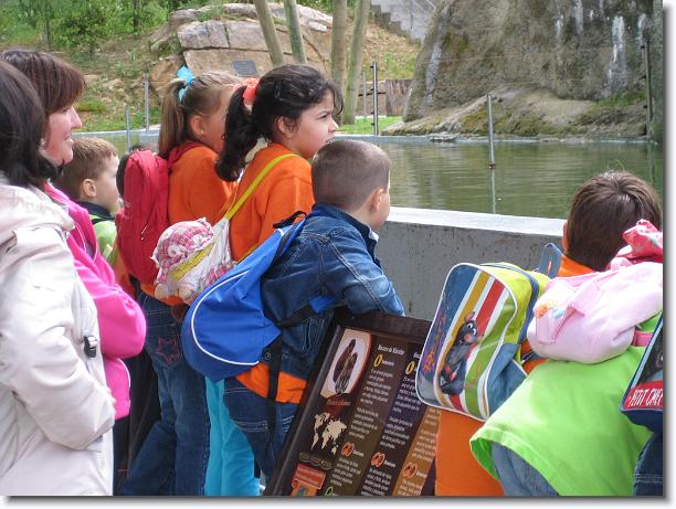 Diapositiva siguiente